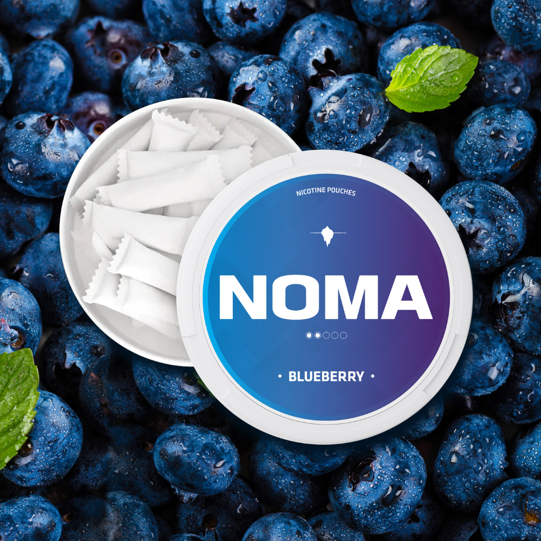 NOMA Blueberry 6mg