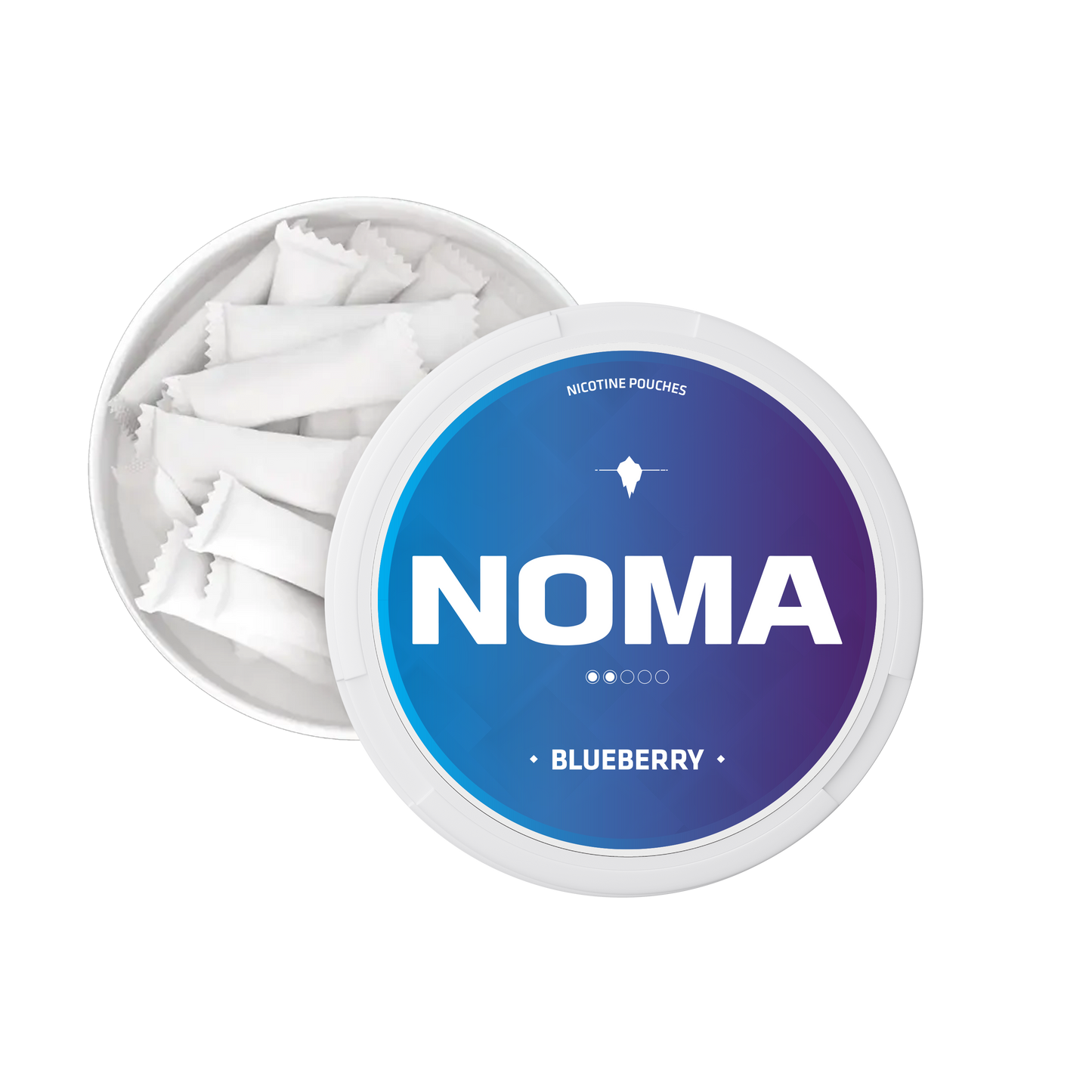 NOMA Blueberry 6mg