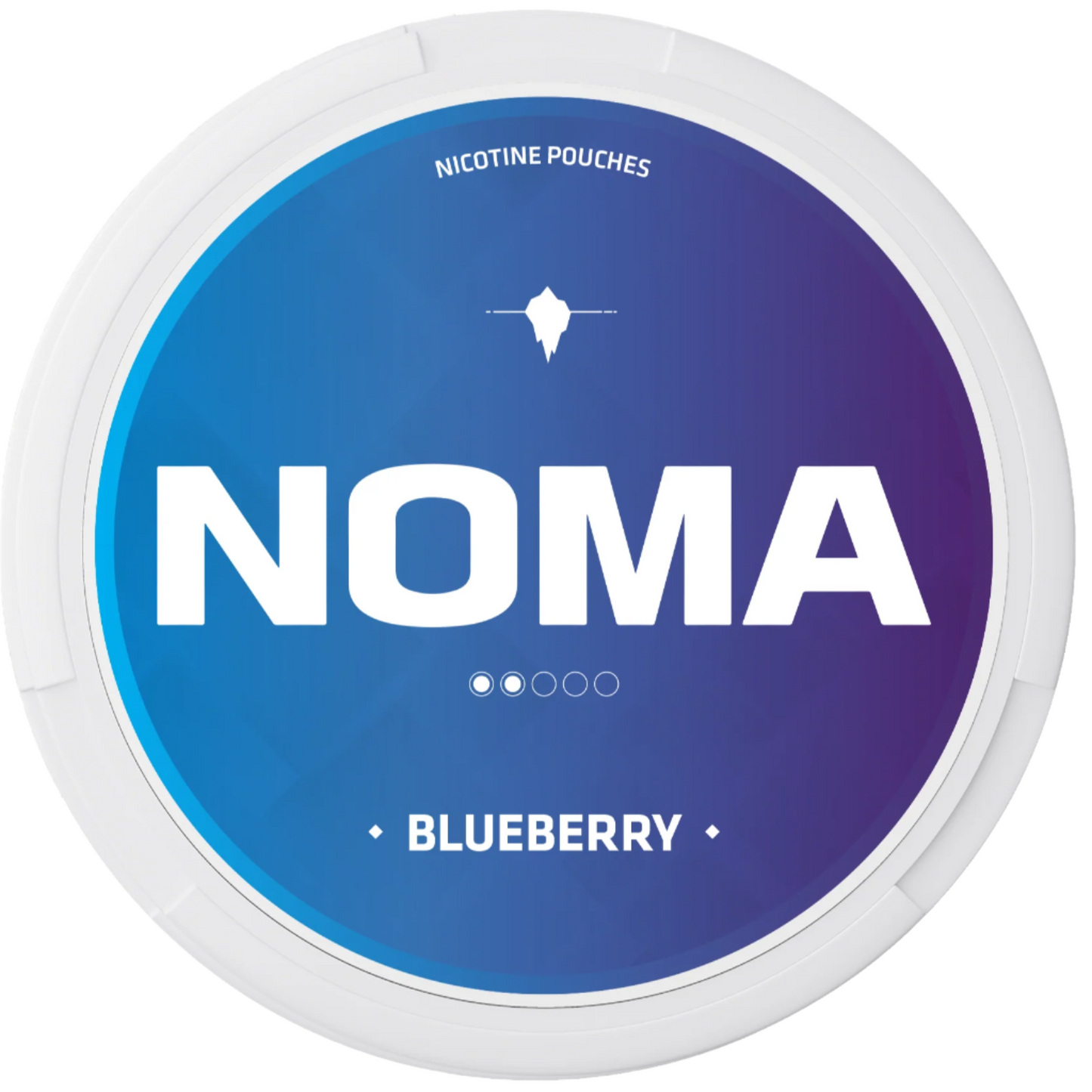 NOMA Blueberry 6mg