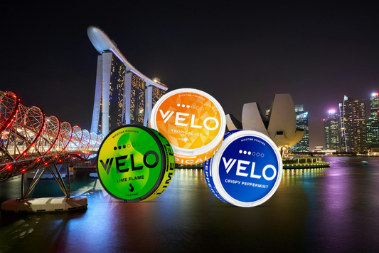 Can You Get Nicotine Pouches & Snus in Singapore?